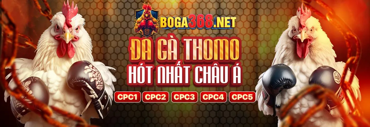 Cá cược thể thao đa dạng tại 3bet
